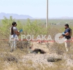 La Seguridad Ficción